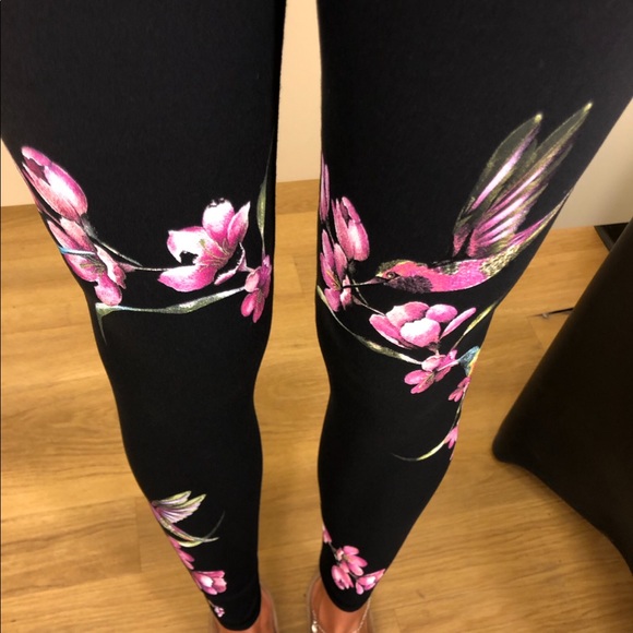 ISO - Picture 2 of 2